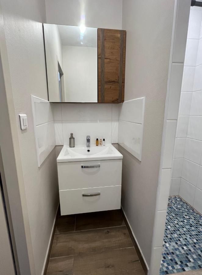 Appartement Renove A 15 Min De Lyon Saint-Fons Exterior photo